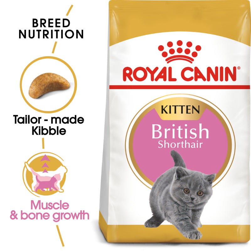 Royal Canin British Shorthair Kitten Cat Food (2Kg)