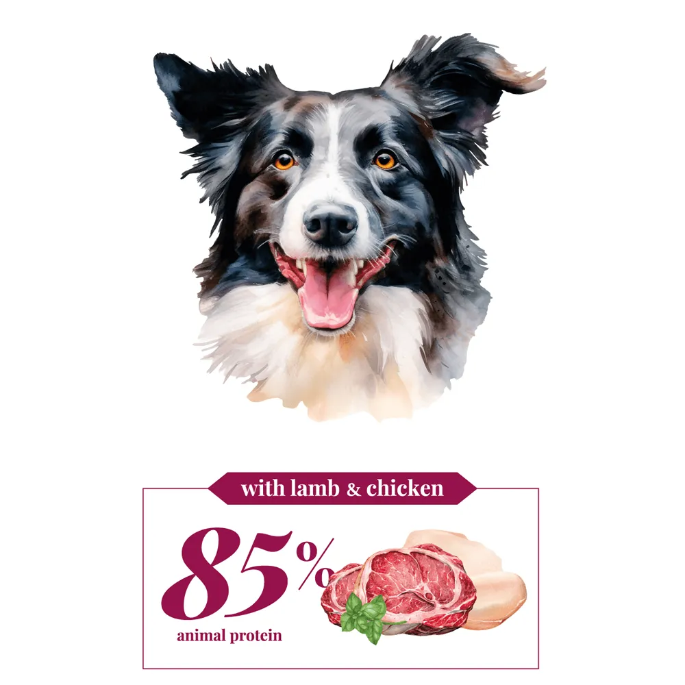 High Energy - Lamb & Chicken - Adult - Cebican Cosmo - Dog Food (3kg/12kg) - 3kg