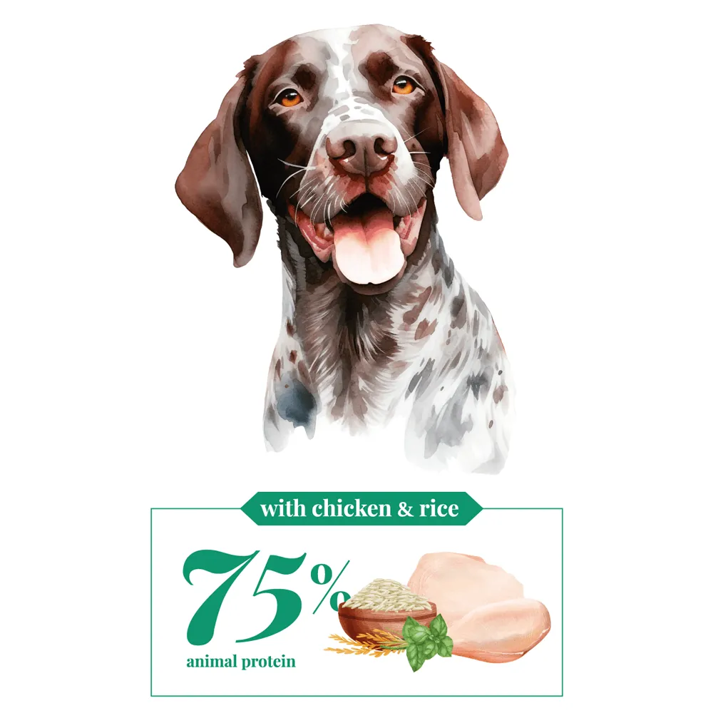 Daily Care - Chicken & Rice - Large Breed - Adult - Cebican Cosmo - Dog Food (12kg/20kg) - 12kg