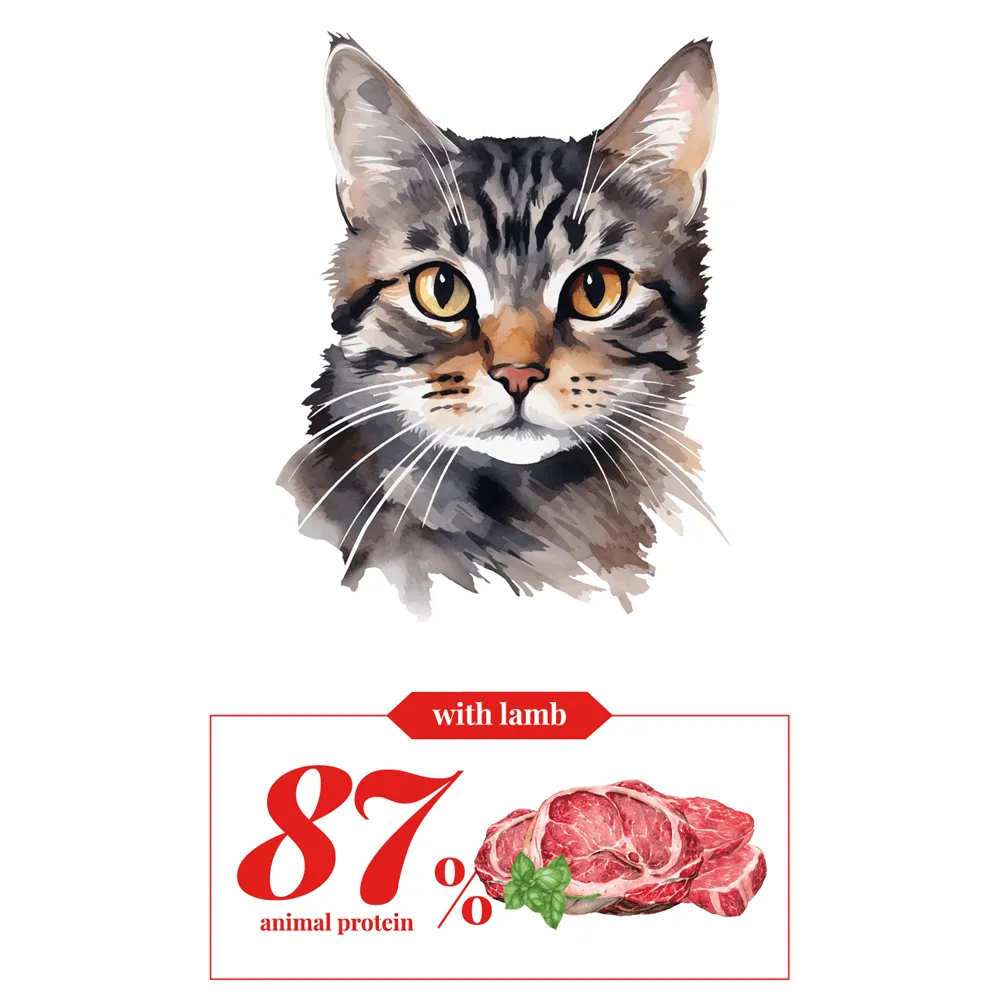 Adult Cat - Lamb - Cebican Cosmo - Cat Food (1.5kg-7kg) - 1.5kg
