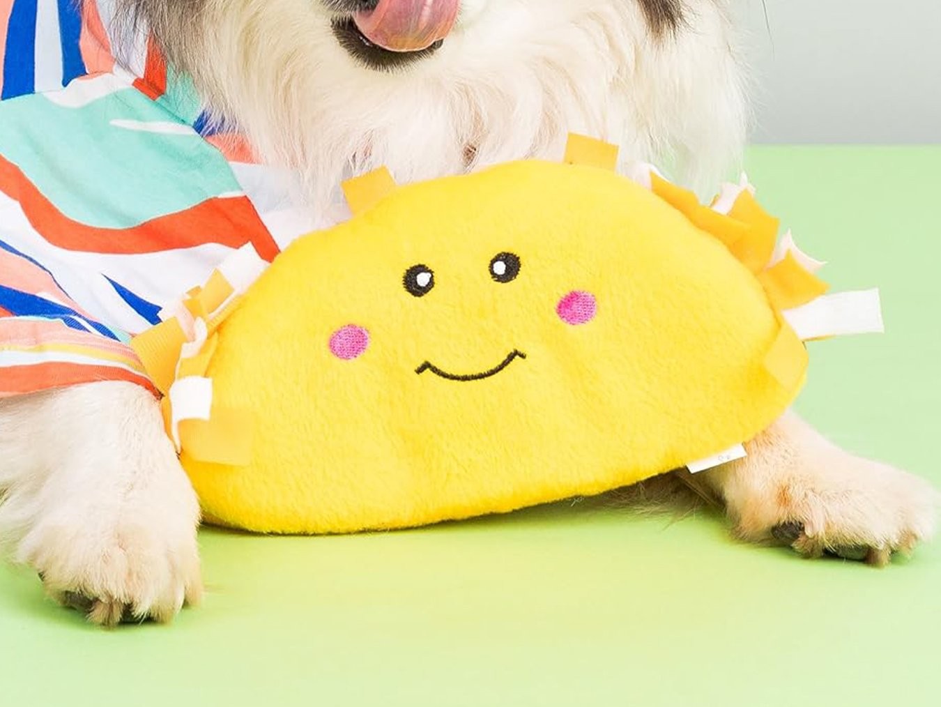 NomNomz Taco | Plush Squeaky Dog Toy | Small Medium Breeds | Machine Washable with Squeakers | ZippyPaws