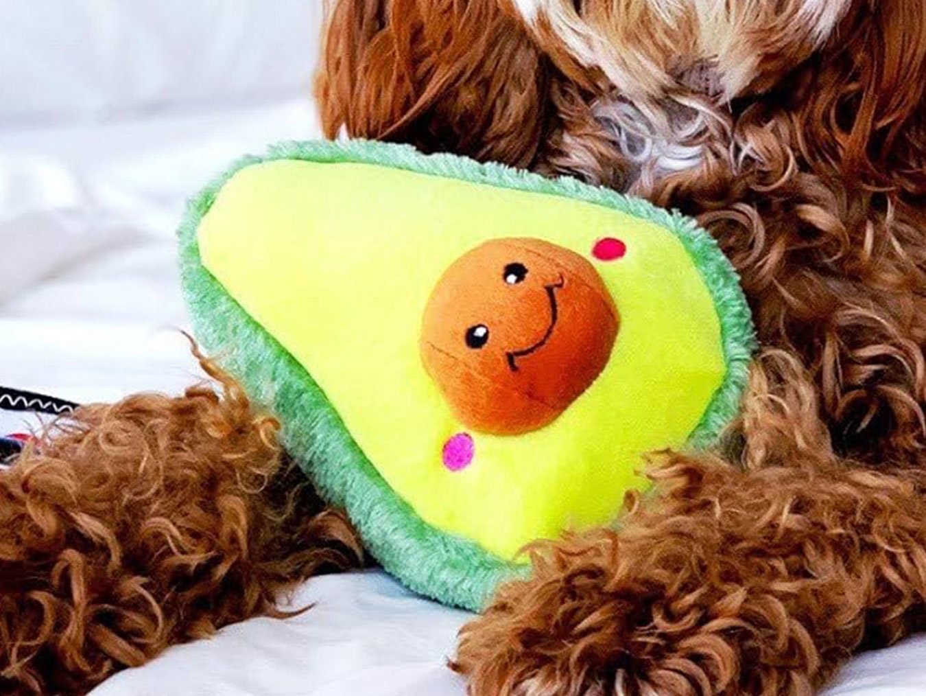 NomNomz Avocado | Plush Squeaky Dog Toy | Machine Washable with Squeakers | ZippyPaws