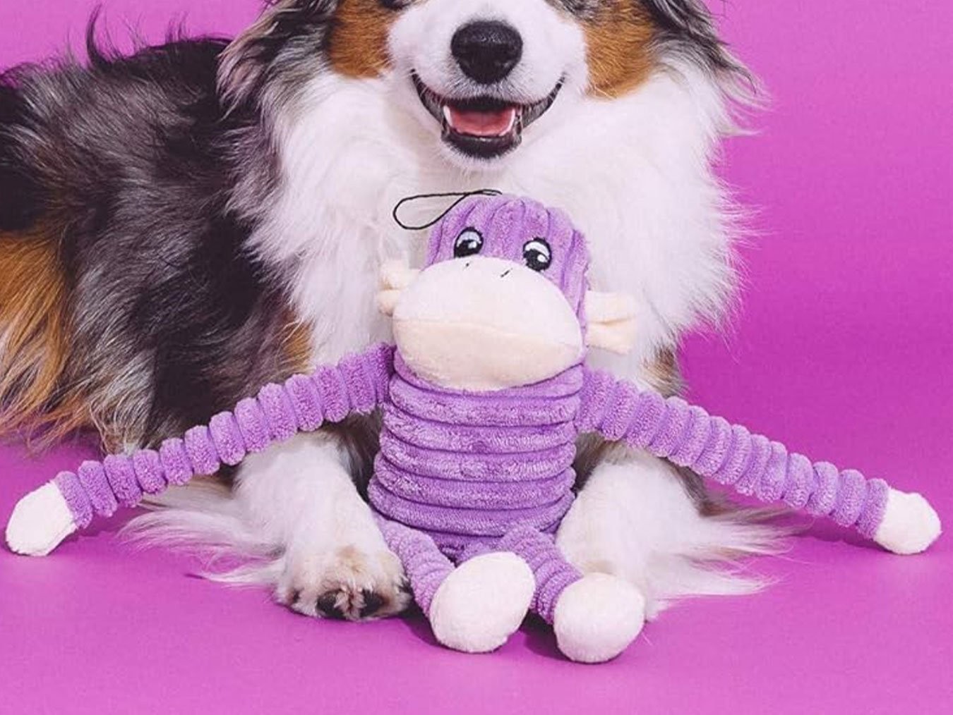 Spencer The Crinkle Monkey Small Purple | Plush Squeaky Dog Toy | For Small Dog Breeds | Machine Washable with Squeakers | ZippyPaws