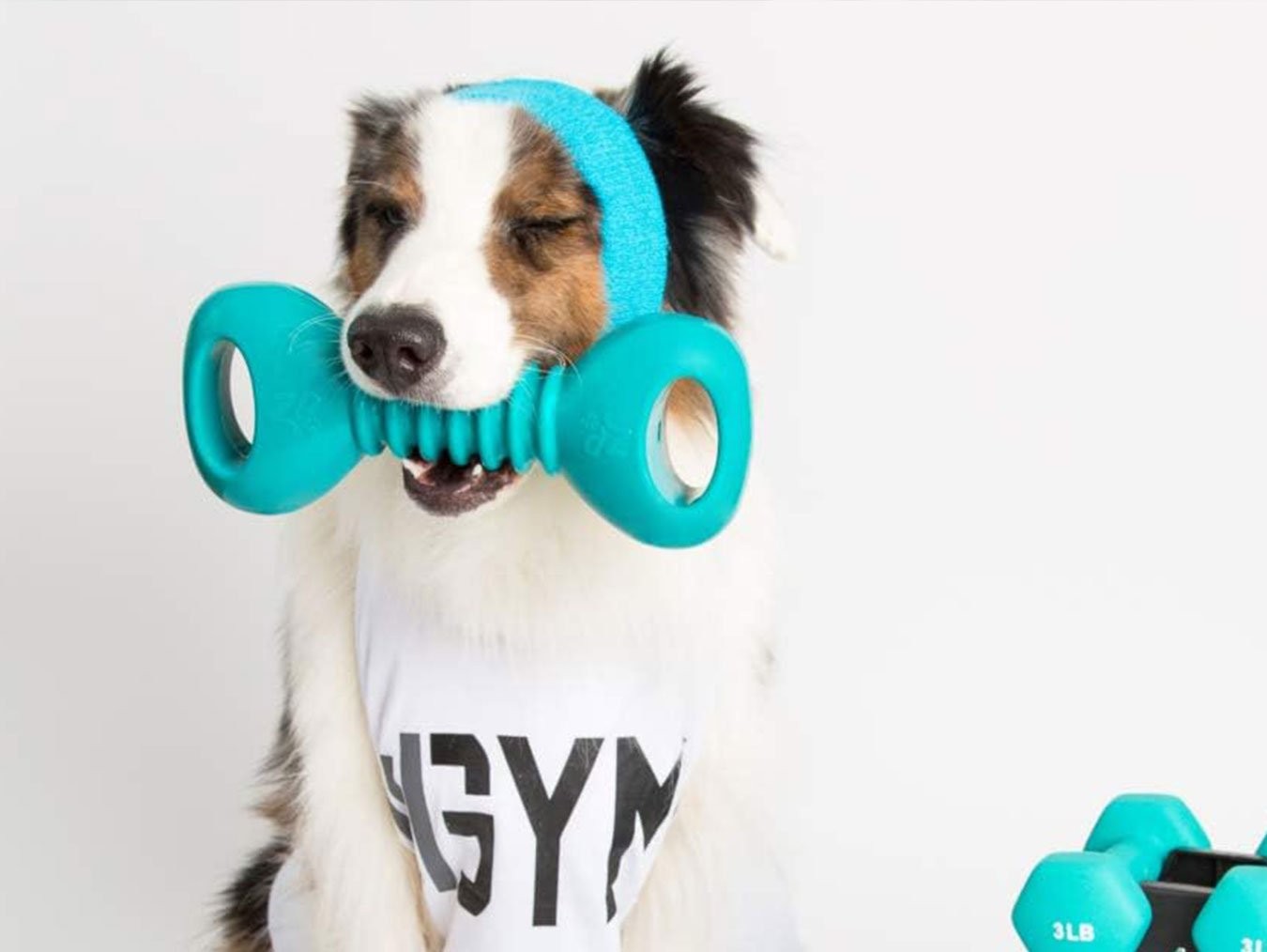 ZippyTuff Dumbbell | Durable Squeaky Dog Toy | For Aggressive Chewers | ZippyPaws
