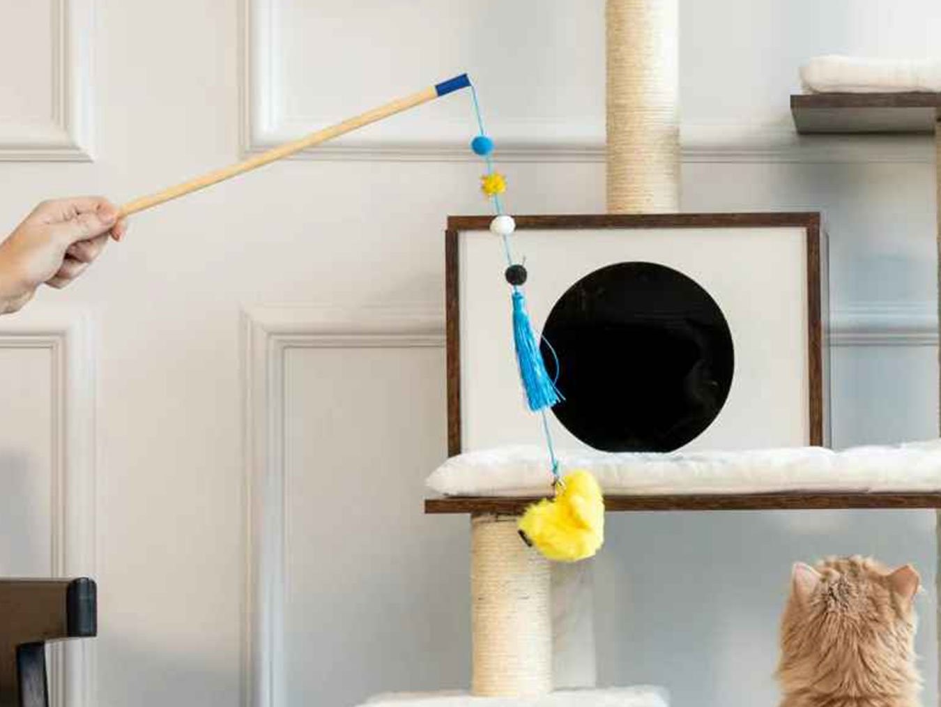 ZippyStick Bird | Interactive Plush Bamboo Cat Toy Wand | For Cats Kittens | ZippyClaws