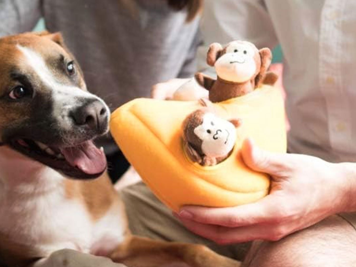 Zippy Burrow Monkey ‘n Banana | Interactive Squeaky Plush Dog Toy | For Regular Chewers | Machine Washable | ZippyPaws