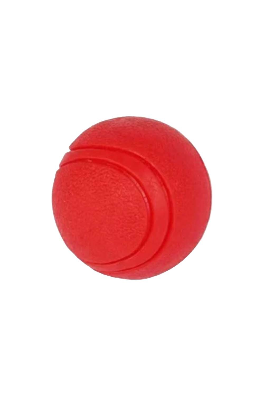 Dog Bouncing Tennis Ball - Medium and Large