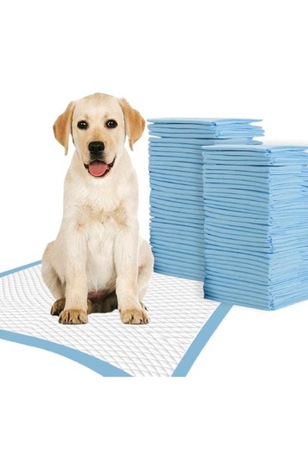 All Four Paws _ Training Pads