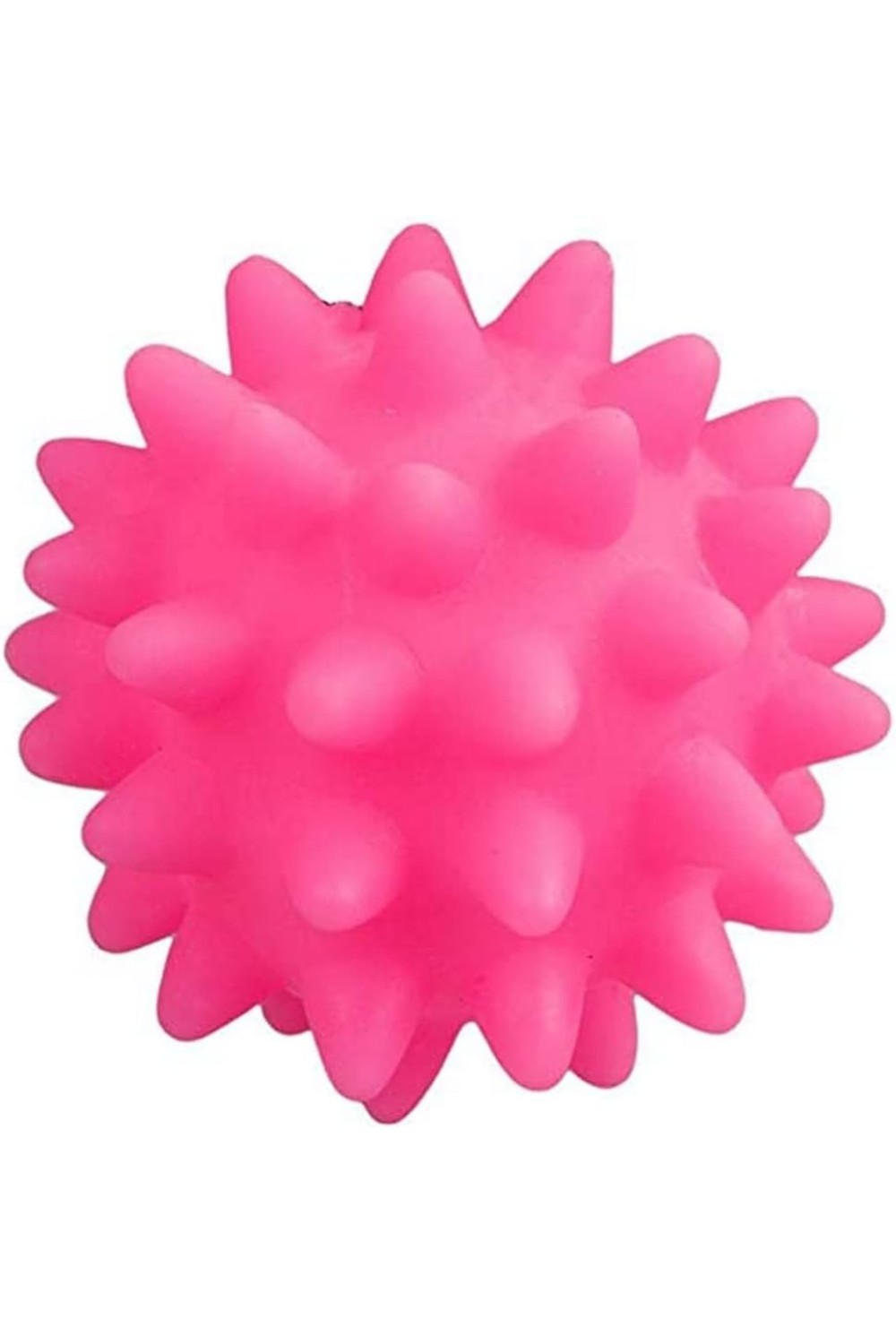 PAWISE Dog toy Ball