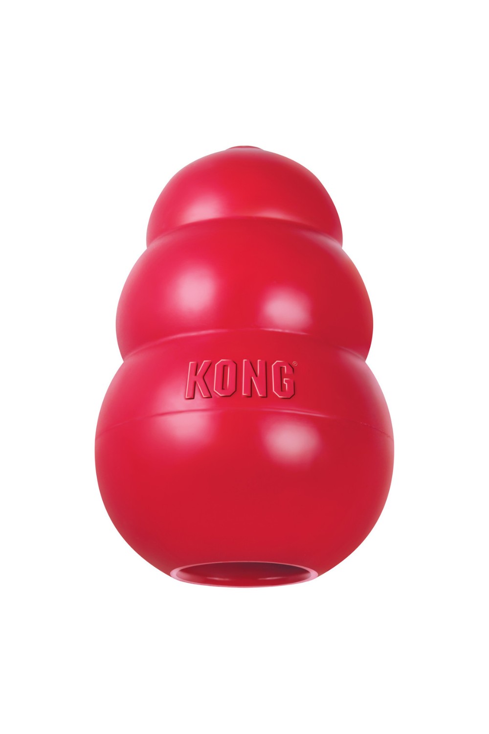 KONG Classic Dog Toy