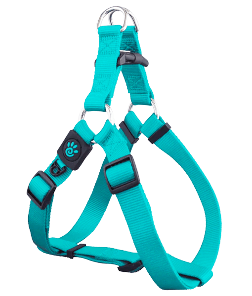 Doco - Signature Step-In Turquoise Dog Harness - X-Small