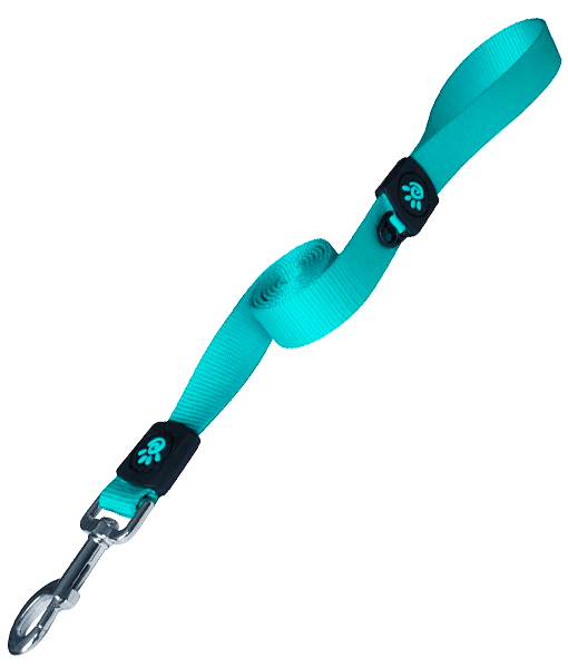 Doco - Turquoise Dog Leash - X-Small