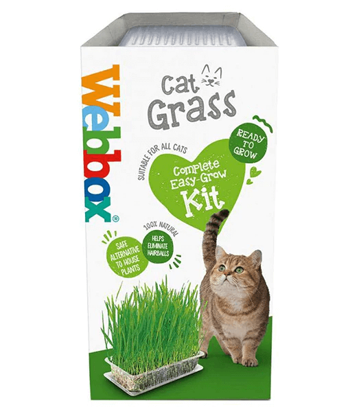 Webbox - Cat Grass Growing Kit, Hairball Support, For Cats - 120g