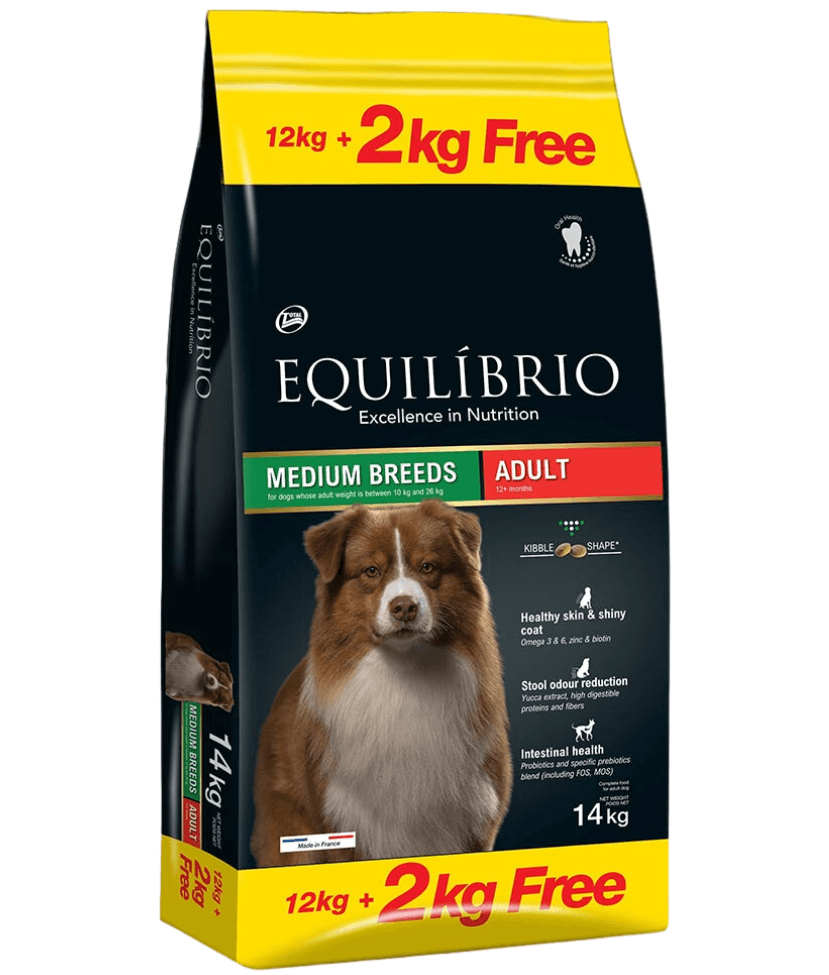 Equilibrio - Medium Breed, Adult Dry Dog Food, With Chicken - 2kg, 12kg - 12 KG
