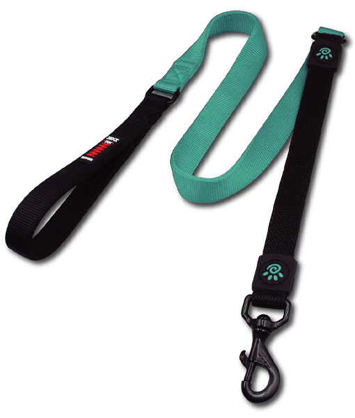 Doco - Bungee Shock Absorbing Nylon Leash, Neoprene Handle, For Dogs - Turquoise - 120cm (Large)