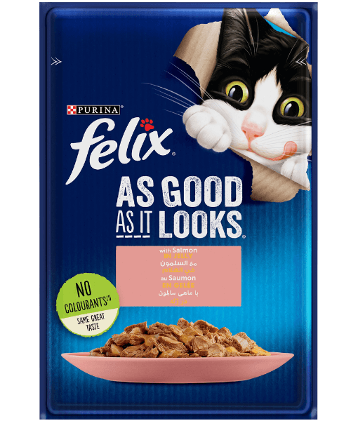 Purina - Felix As Good As It Looks With Salmon In Jelly Wet Cat Food 85g - 1 pouch