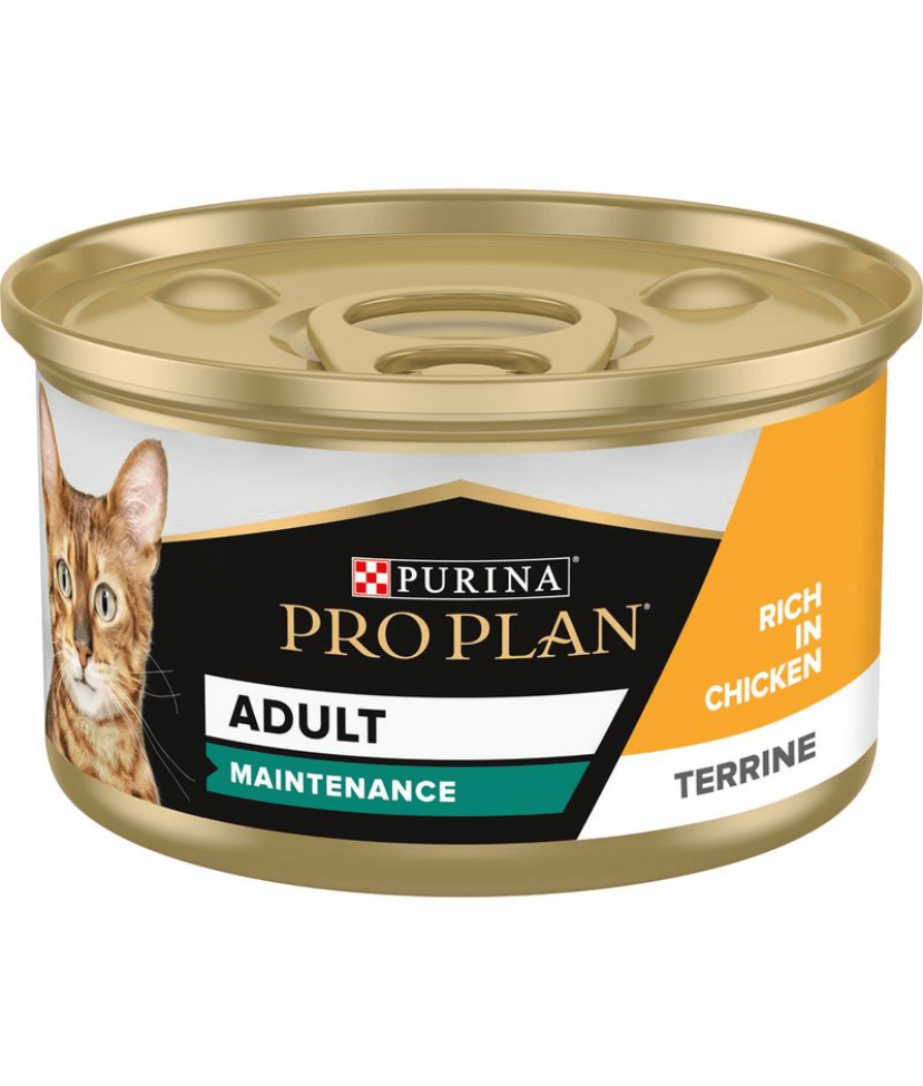 Purina - Pro Plan, Adult Maintenance, Wet Cat Food, Terrine Rich in Chicken 85g - 1 Can