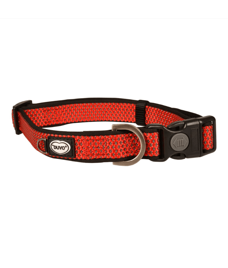 Duvo+ – EXPLOR East Nylon Dog Collar, Red, Weather-Resistant & Reflective – M & XL - Medium