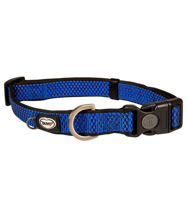 Duvo+ – EXPLOR East Nylon Dog Collar, Blue, Weather-Resistant & Reflective – S & XL - Small