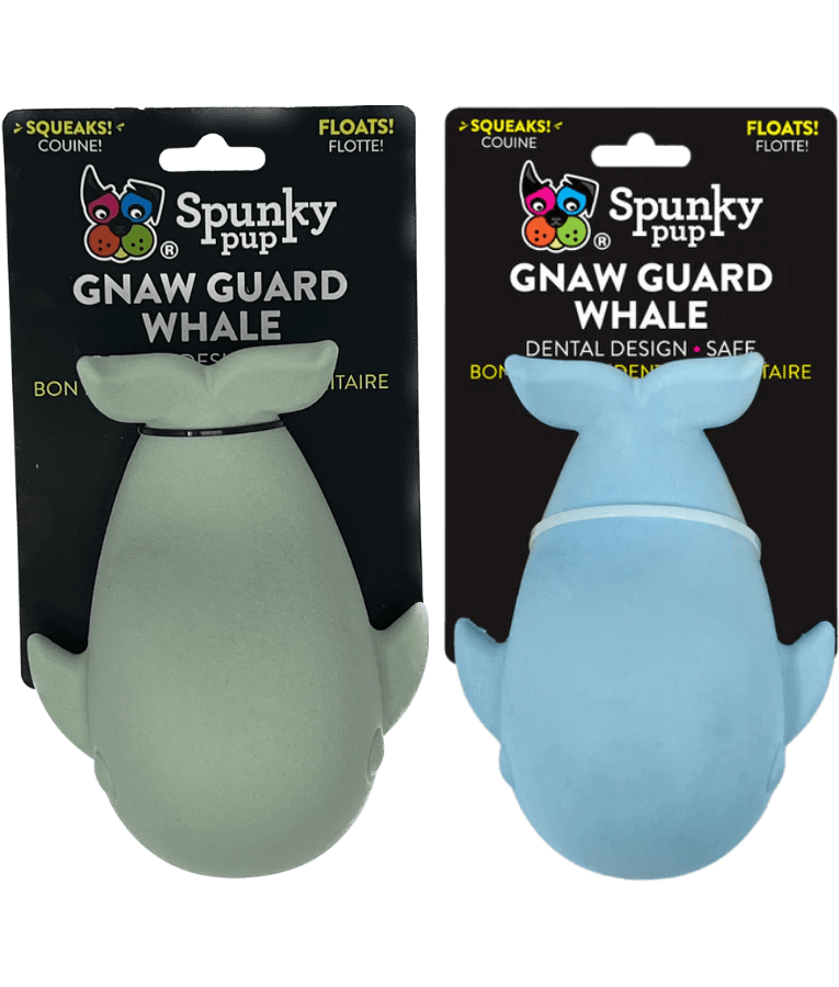 Spunky Pup - Gnaw Guard Whale Foam Toy, Textured Dental Chew, Floating Squeaky Dog Toy - Blue/Pink
