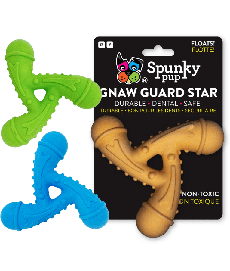 Spunky Pup - Gnaw Guard Star Foam Toy, Textured Dental Chew - Floating Dog Toy - Orange